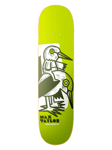 Birds Feather Taylor 8.25 x 31.65 Deck